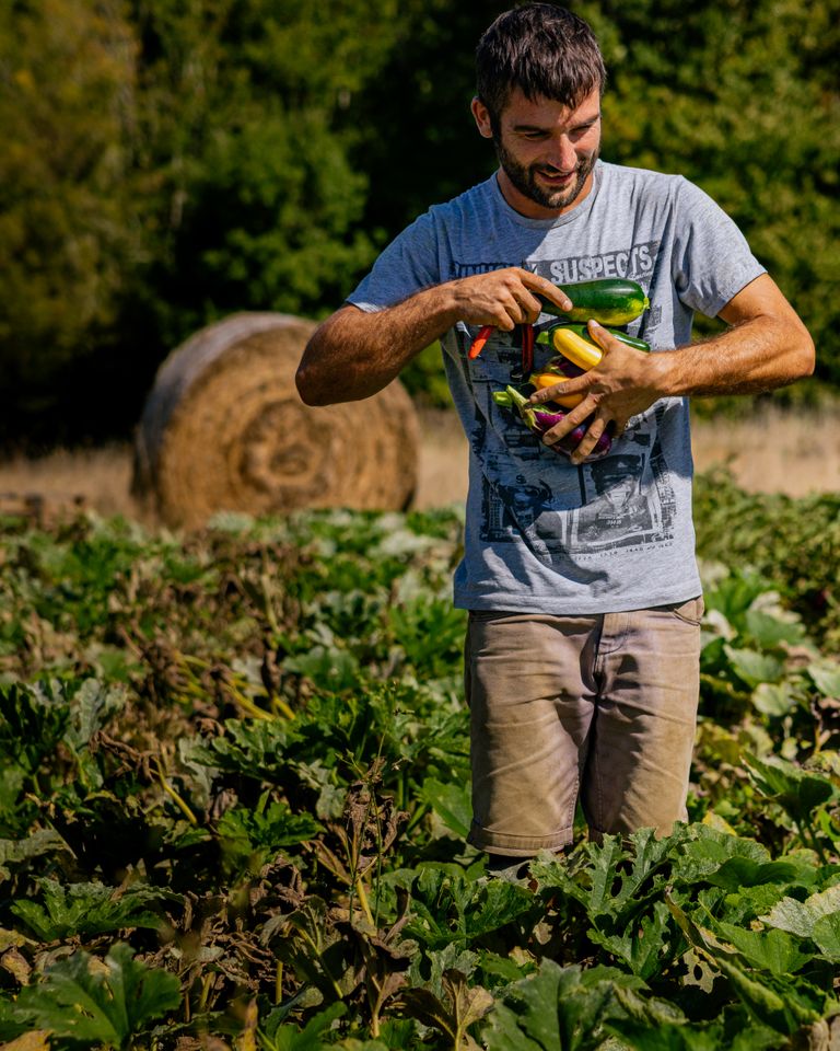 A farmer gathers fresh produce from a vegetable field in Saint-Sulpice-de-Guilleragues.